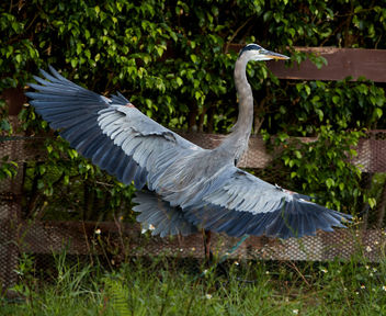 Oct 03 2017 AQ6I8568 - Free image #448997